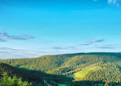 Wegbegleitung bei Ernährung, Gesundheit, deinem Leben