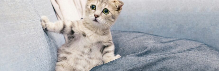 Aller Anfang ist schwer!?