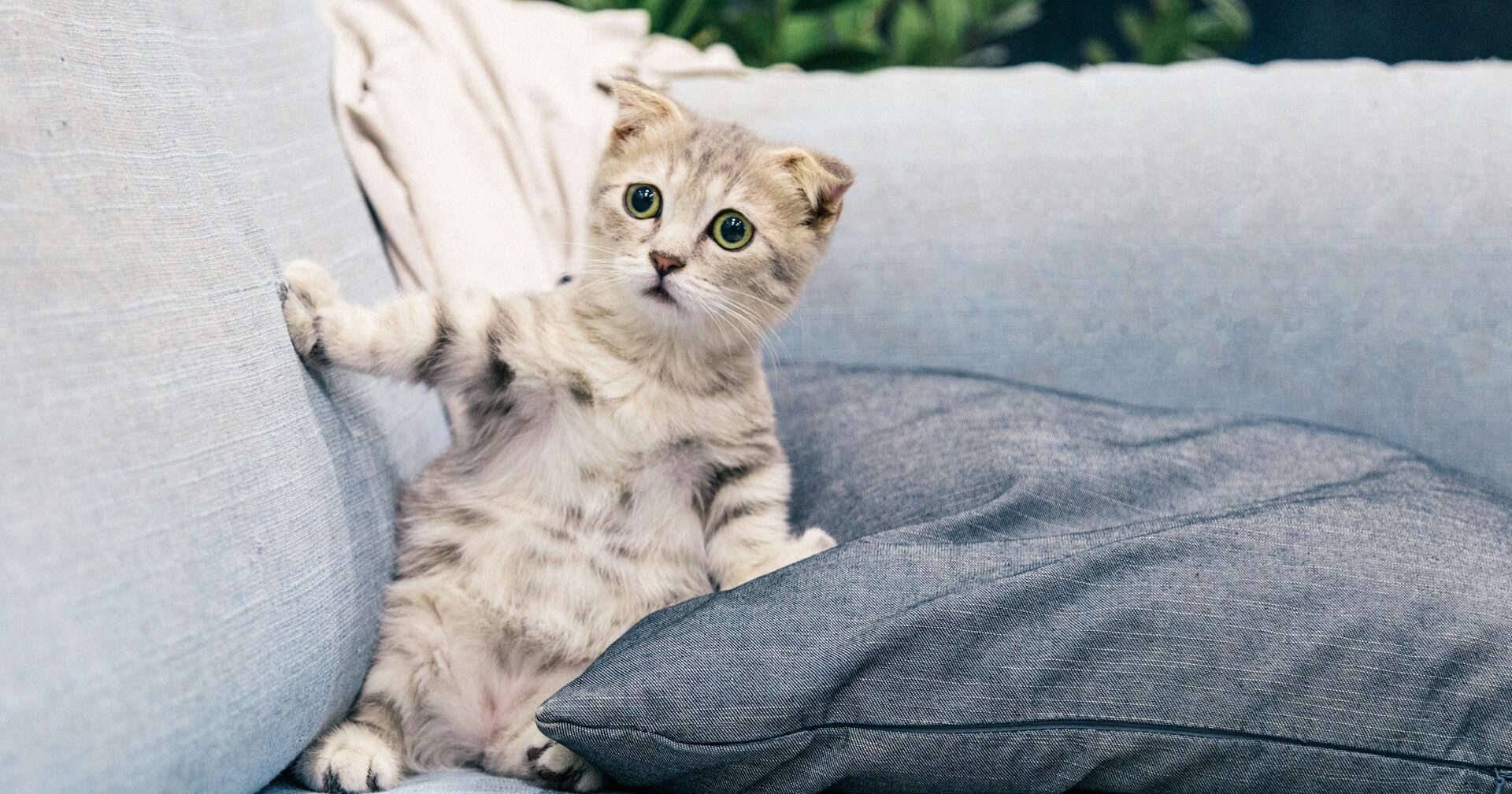 Aller Anfang ist schwer!?